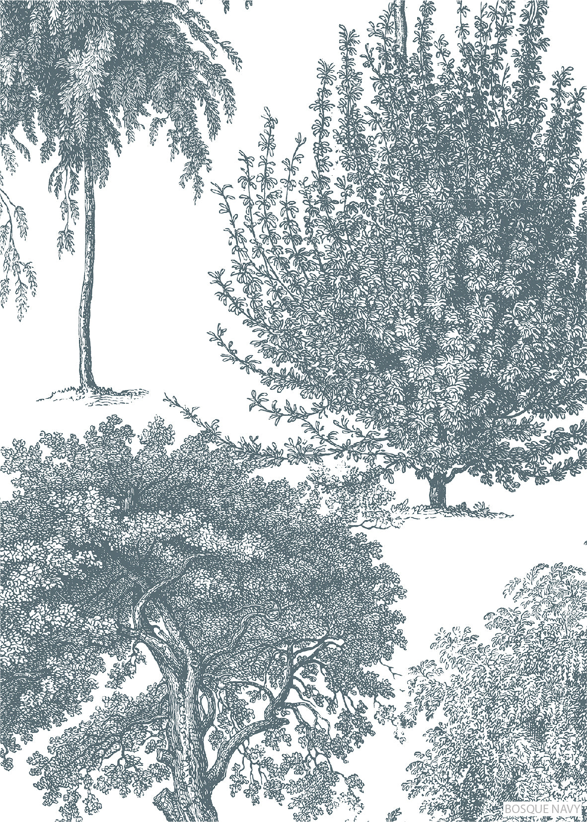 Bosque Navy