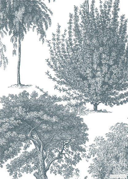Bosque Navy