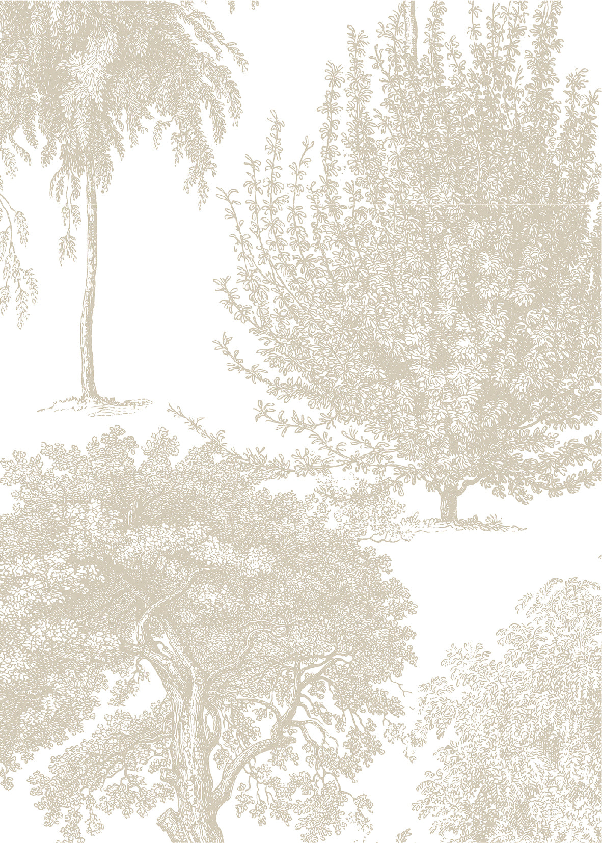 Bosque Piedra