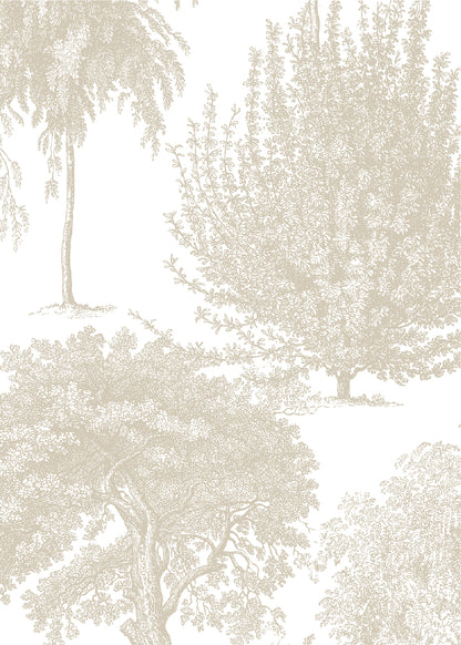 Bosque Piedra