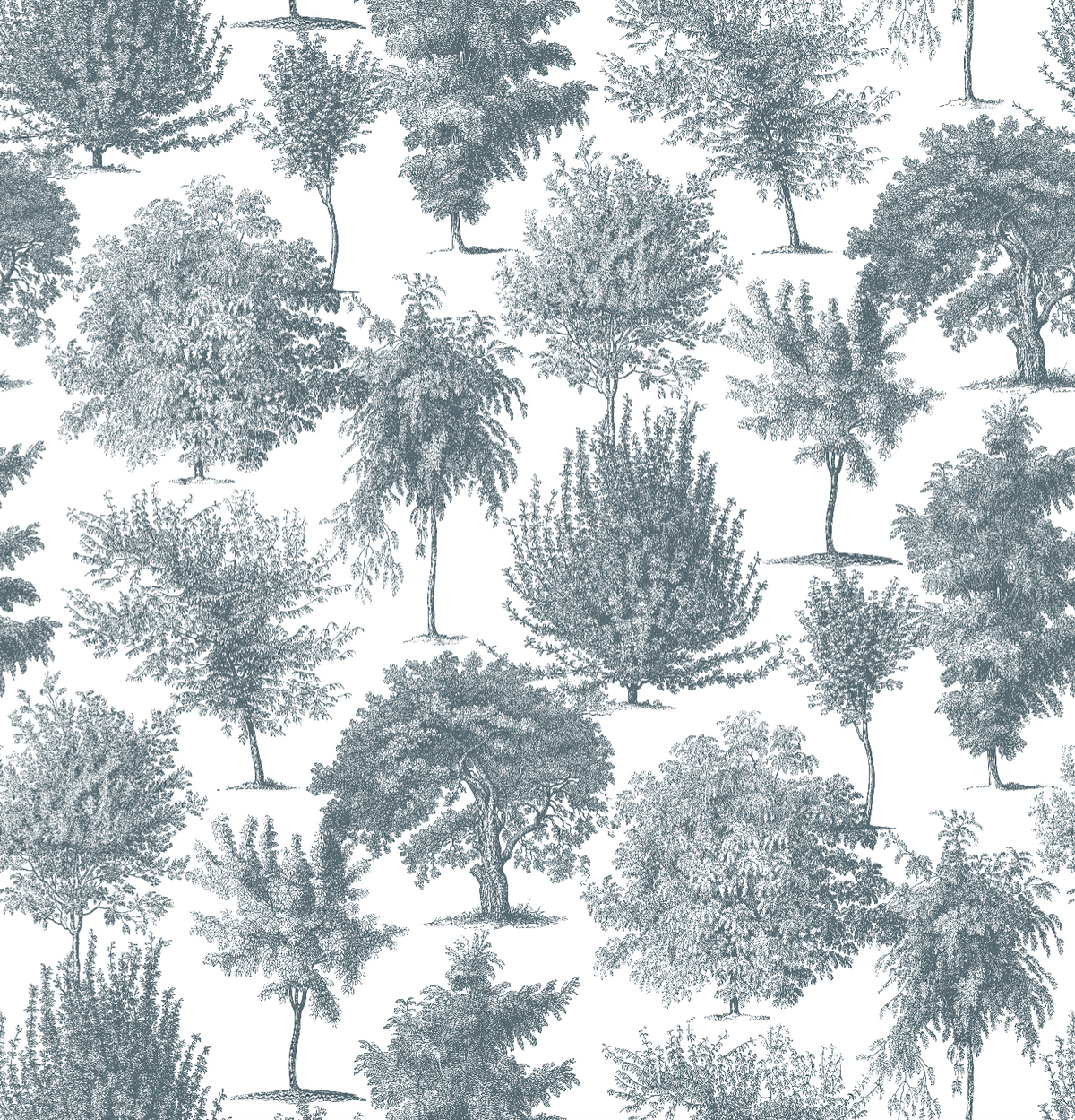 Bosque Navy