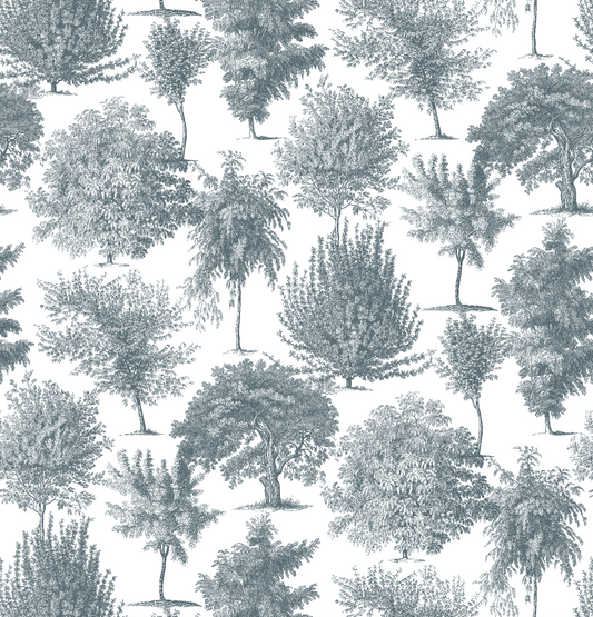 Bosque Navy